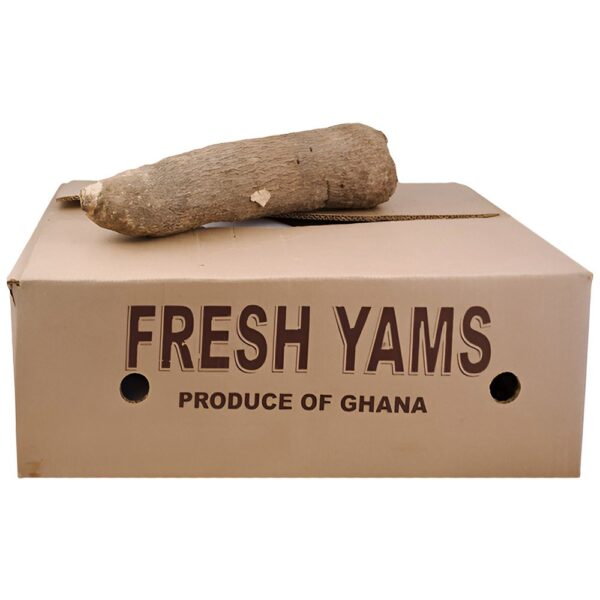 Yam 1.5 - 1.7kg
